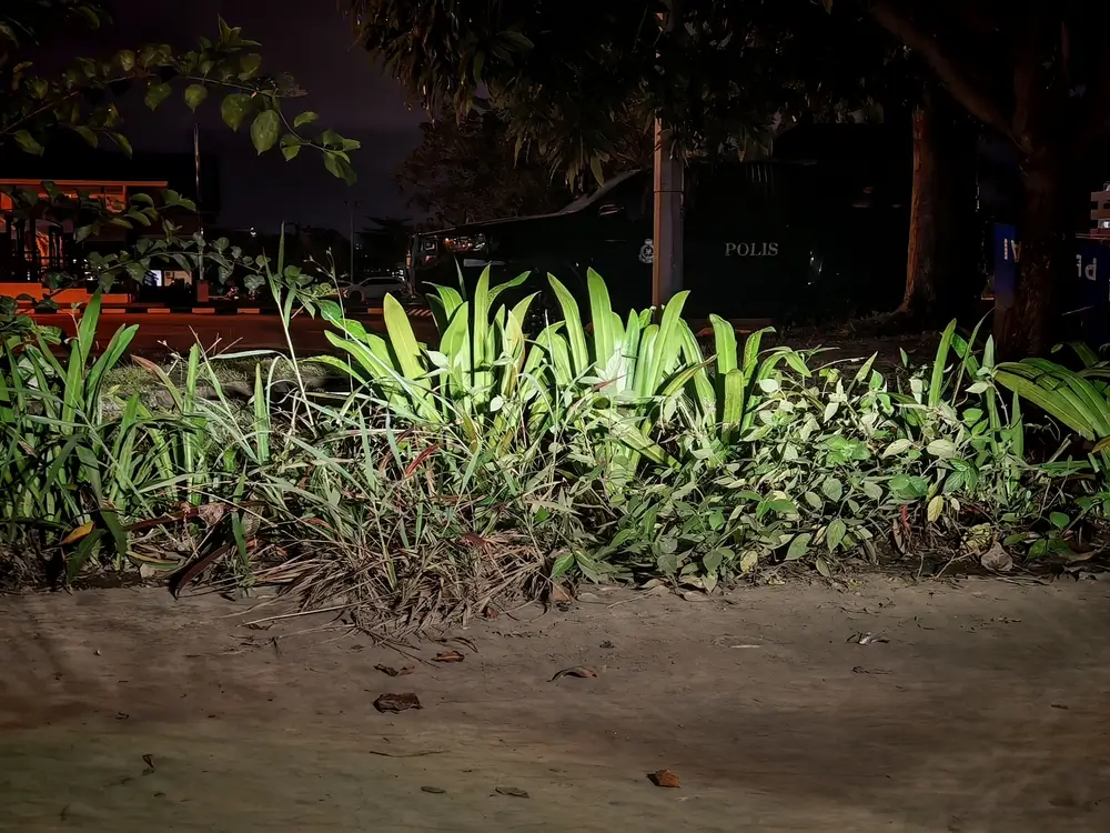 Véhicule de patrouille de nuit sur une route tropicale d'outre-mer, entouré d'une végétation luxuriante.